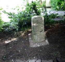 The Plague Well Stone (1)